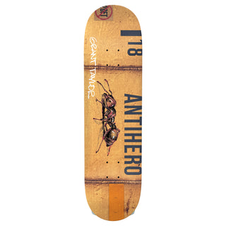 Anti Hero Skateboard Complete Grant Taylor Intermodal Yellow 8.32" x 31.62"