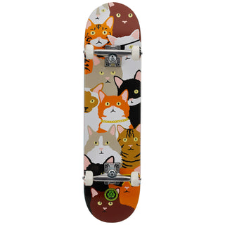 Enjoi Skateboard Litter Box Premium 8.0"