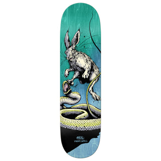 Real Skateboard Deck Lintell Prey 8.4" x 32"