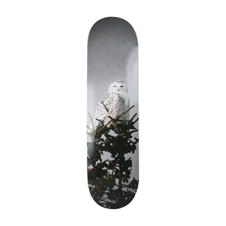 All I Need Deck Trembley Snow Owl 8.1"