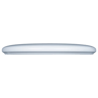 Innova Disc Golf KC Pro Calvin Heimburg Aviar Putter 2/3/0/2 Super White/Jellybean 172 grams
