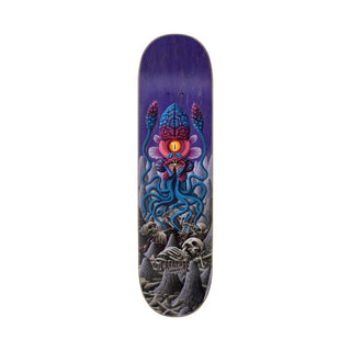 Creature Skateboard Deck Gravette Caverns 8.375" x 32"
