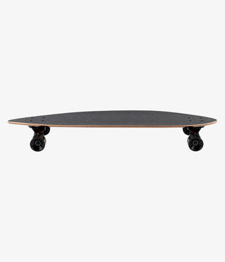 Long Island Longboards Dharma Pintail 9.5" x 38"
