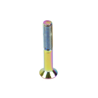 Dime Bag Skateboard Mounting Hardware 1.25" Phillips Oil Slick Bolts / Silver Nuts