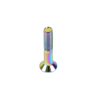 Dime Bag Skateboard Mounting Hardware 1" Phillips Oil Slick Bolts / Silver Nuts