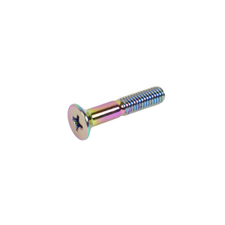 Dime Bag Skateboard Mounting Hardware 1" Phillips Black and Oil Slick Bolts / Silver Nuts