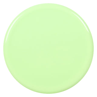 Streamline Discs Neutron Soft Range Putt and Approach 2/1/-0.5/0.5 Blank Pastel Green (No Stamp) 172 grams