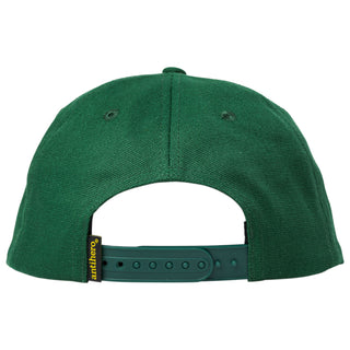 Anti Hero Skateboards Hat Out of Order Snapback Forest Green