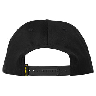 Anti Hero Skateboards Hat Basic Eagle Snapback Black/Grey