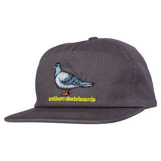 Anti Hero Skateboards Hat Lil Pigeon Snapback Grey/Yellow