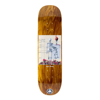 Welcome Deck Townley Anatomy on Enenra 8.5" x 32.38" Assorted