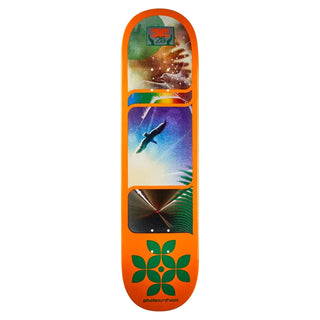 Alien Workshop Skateboard Deck Photosynthesis Orange 8.0"