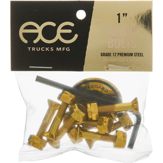 Ace Trucks Skateboard Mounting Hardware Gold 1 1/4" Allen