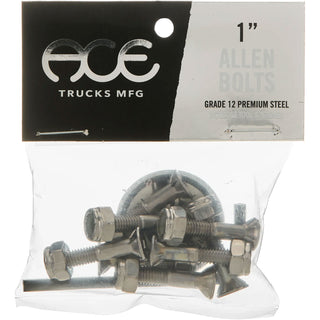 Ace Trucks Skateboard Mounting Hardware Silver 1" Allen