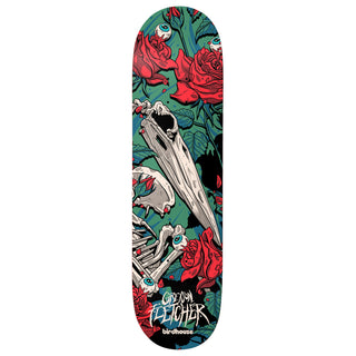 Birdhouse Premium Complete Skateboard Fletcher Tillbrook 8.5" Ft. Krux/SML/Independent