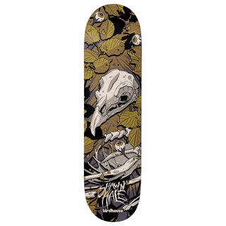 Birdhouse Premium Complete Skateboard Hale Tillbrook 9.0" Ft. Krux/SML/Independent