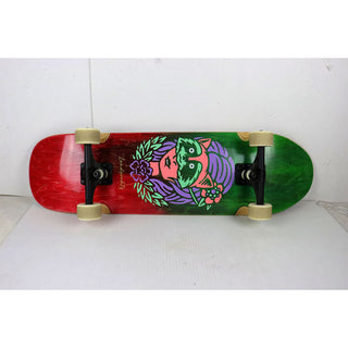 Blem Landyachtz Cruiser Skateboard Complete ATV Perfecto Raccoon 9" x 32"