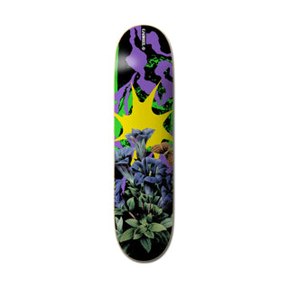 Element Skateboard Deck Combine Gabriel Fortunado 8.25" x 31.7"