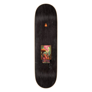 Creature Premium Complete Skateboard Torres Jaguar Stumps 8.51" Ft. Krux/SML/Independent