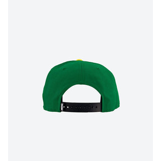 DGK Skateboards Hat Haters Snapback Green/Yellow