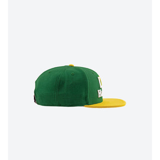 DGK Skateboards Hat Haters Snapback Green/Yellow