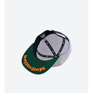 DGK Skateboards Hat Haters Snapback White/Green