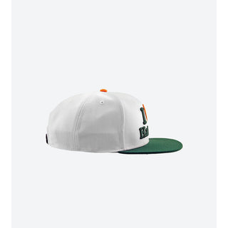 DGK Skateboards Hat Haters Snapback White/Green