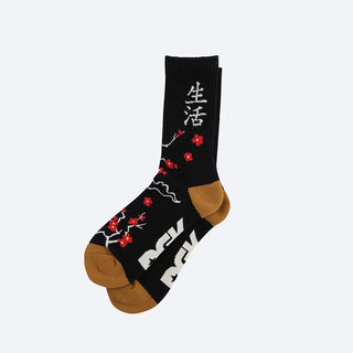 DGK Skateboards Socks Patience Black