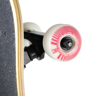 Darkroom Skateboard Complete Omen 8.0" Assembly
