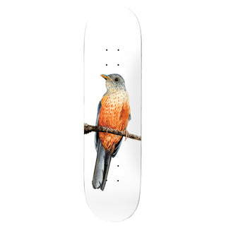 Deathwish Skateboard Complete Yuri Facchini Sabia-Laranjeira 8.125" x 31.5"