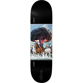 Deathwish Skateboard Deck Ellington Post Modern 8.25" x 31.5"