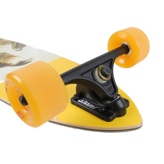 Globe Longboard Pintail 34 Falcon 8.5" x 34"