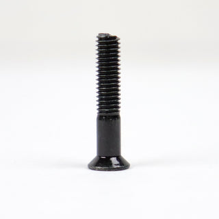 TGM Skateboards Mounting Hardware 1" Phillips Nuts and Bolts