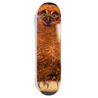 Jacuzzi Skateboard Deck Michael Pulizzi Hoo 7.75" x 31.3"
