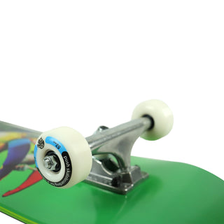 Push Skateboard Complete Toucan 8.0" Green Wheel Close Up