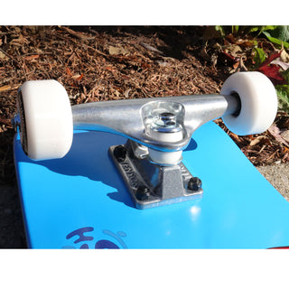 Push Skateboard Complete Toucan Blue 8.0" x 31.6"