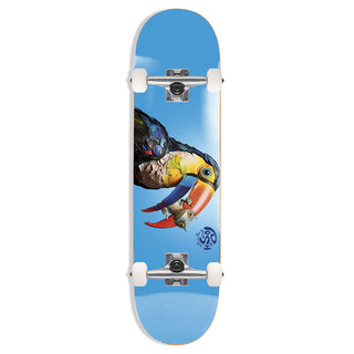 Push Skateboard Complete Toucan Blue 8.0" x 31.6"