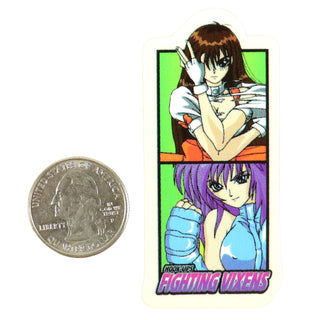 Hook Ups Skateboards Sticker - Mini Size - Fighting Vixens 1.25" x 2.75"