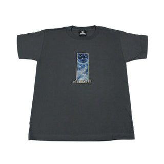 Darkstar Skateboard T-Shirt Shock Charcoal