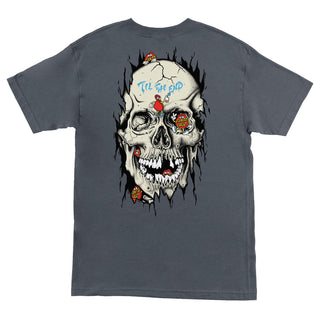 Santa Cruz Skateboards Shirt Dot Dudes Charcoal