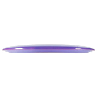 Innova Disc Assorted Champion TL 173-175