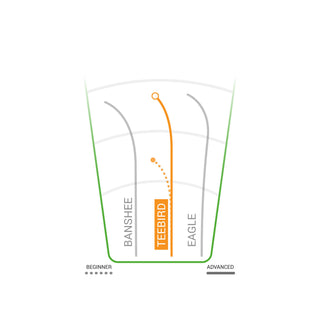 Innova Disc Golf Jennifer AllenÂ Tour Series Proto Glow Champion Teebird 7/5/0/2 Peach/White 173 grams