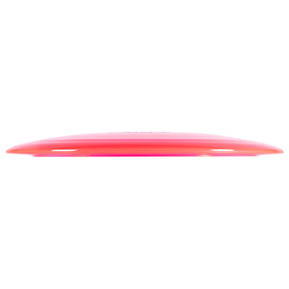 Innova Disc Assorted Champion Tern 170-172