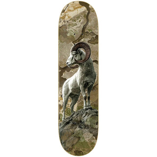 Zero Skateboard Complete Adam Arunski Realtree Big Horn 8.5" x 32.3"