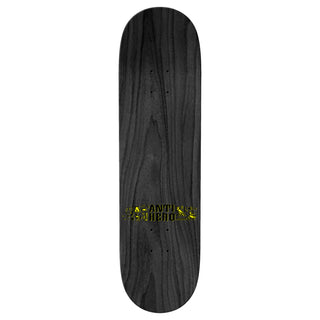 Anti Hero Skateboard Deck GT Makalassi Construction Renovated 8.75" x 32.62"